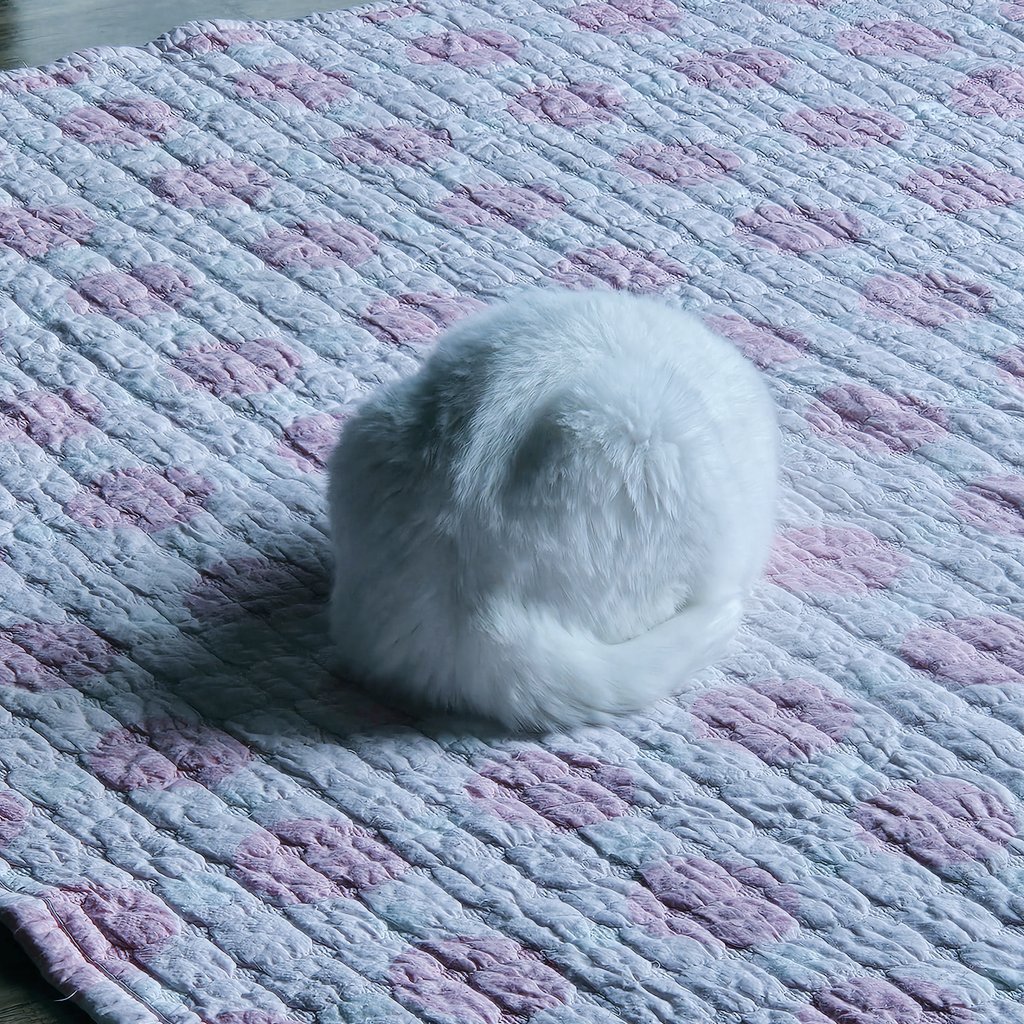 Givename tweet media