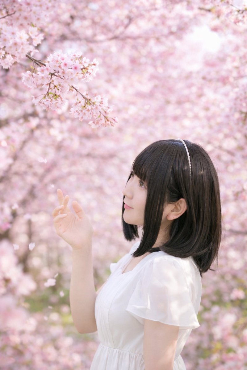 Post by SAKURA on X: 🌸🌸🌸