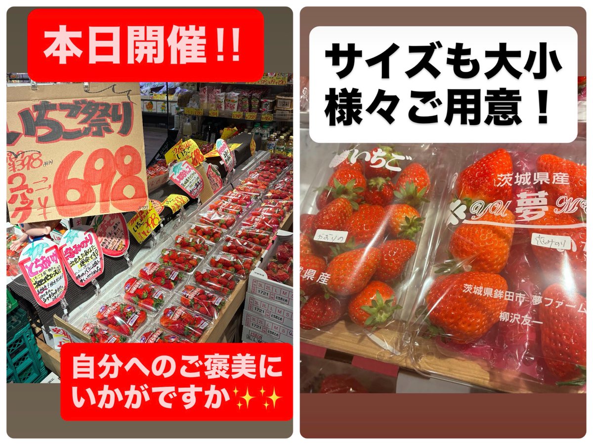 豪華6品種🍓✨】 2/25水も開催！！ いちご🍓 1パック¥398！ 2パック