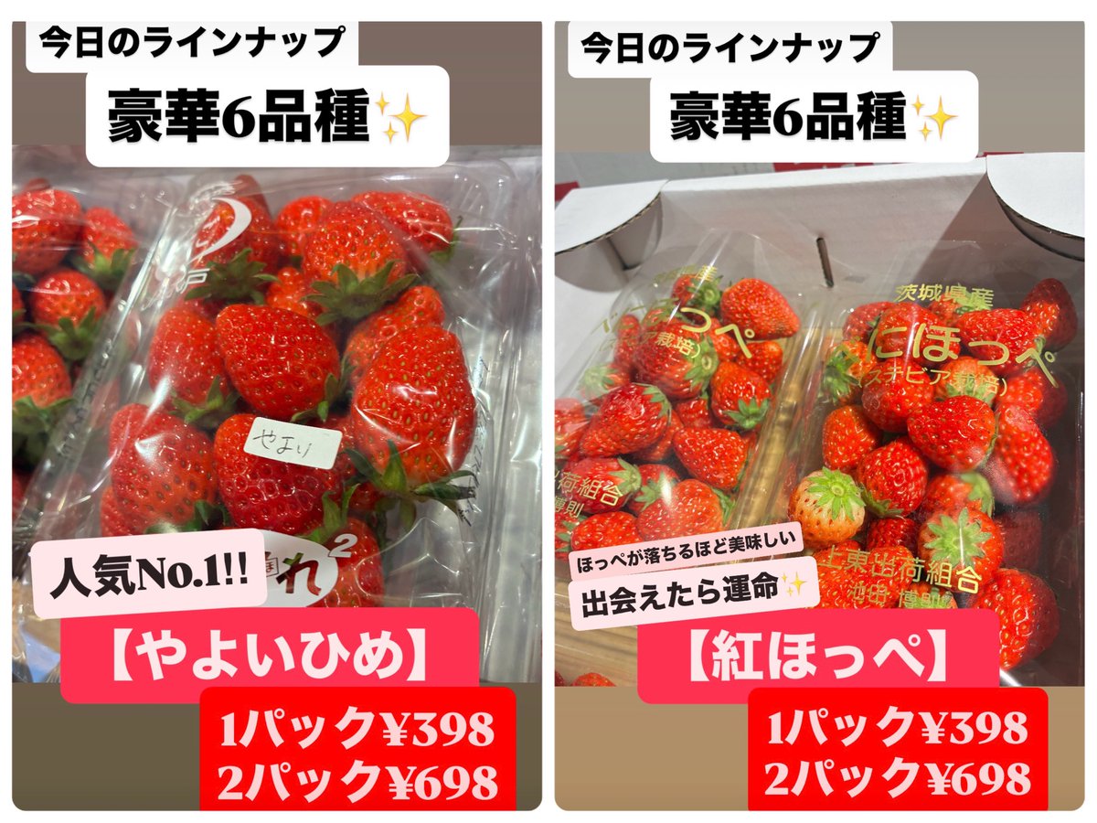 豪華6品種🍓✨】 2/25水も開催！！ いちご🍓 1パック¥398！ 2パック