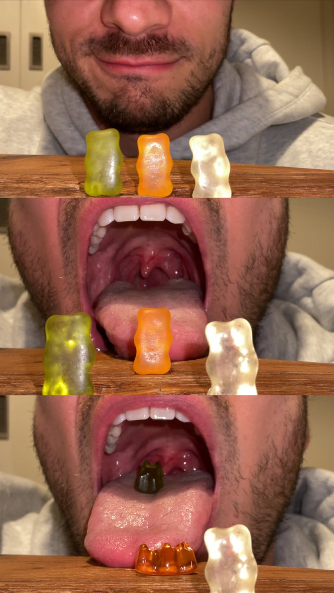 Vore_Alpha tweet media