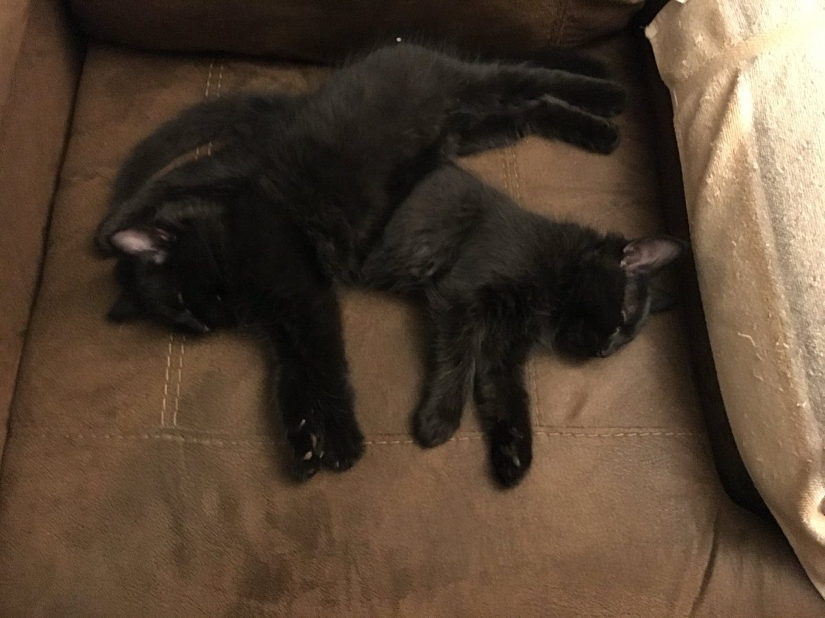 John Doe 70 tweet media