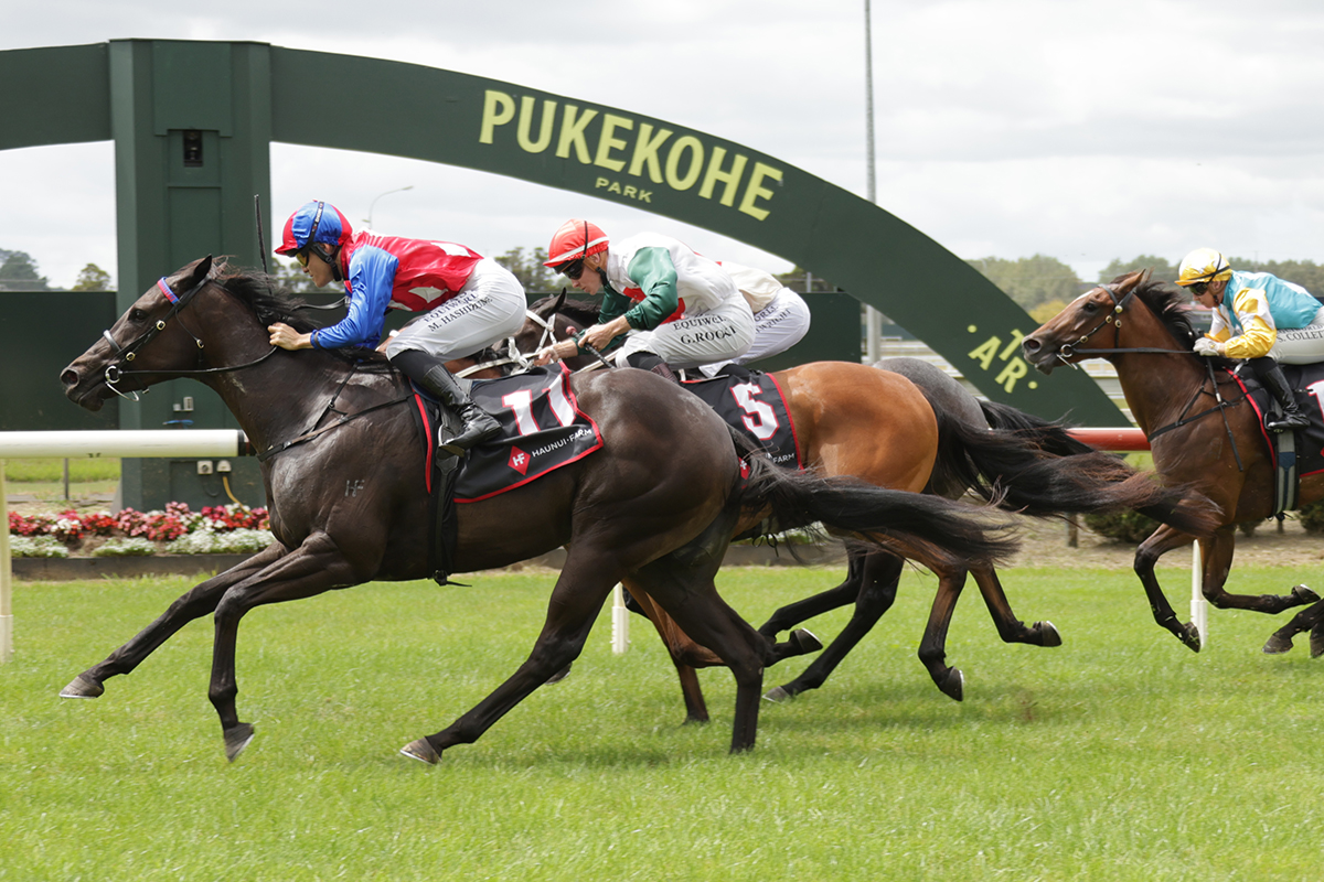 Auckland Thoroughbred Racing tweet media