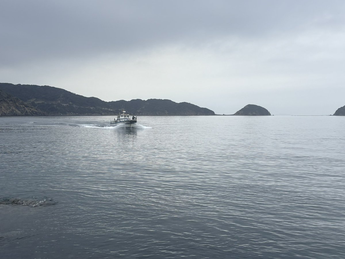 Life6Fishing's tweet photo. 昨日(2/24)は久しぶりにベタ凪予報で日振島に。
1船8人で貸し切り。ベタ凪、小潮で流れもなく、池みたいな海でしたが2ヒロ弱でかなり活性のいい当たりが続きました♪釣れてくるのも良型が多く、50UPも混じって最高の時間となりました。グレは18枚(40UPは12枚)でした。
#グレ
#日振
#50UP
#フカセ釣り https://t.co/SfE31IyVpi