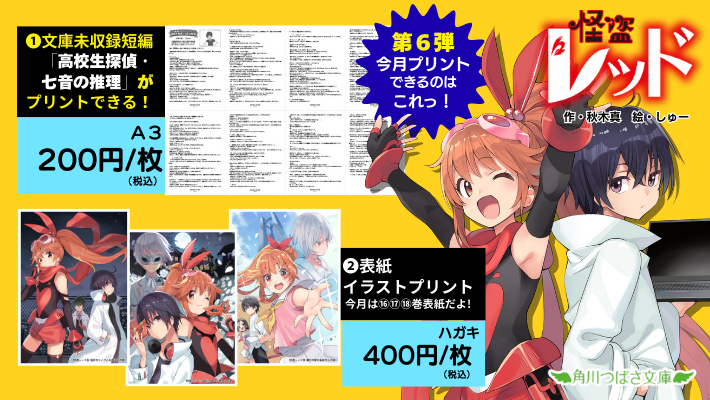 10ヶ月連続怪盗レッド完結キャンペーン 第6弾✨ #つばさ文庫 の大人気