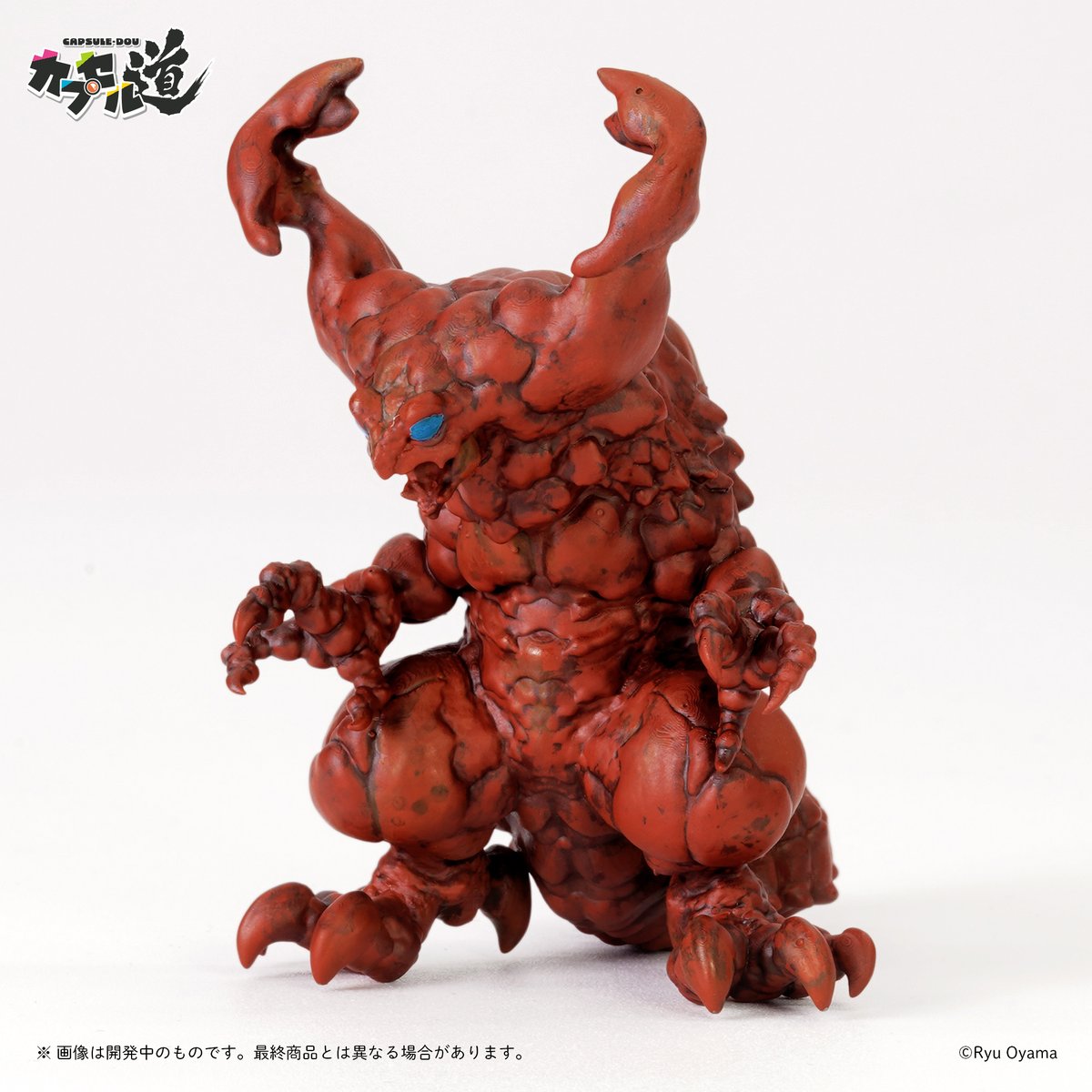 カプセル道【公式】 tweet media