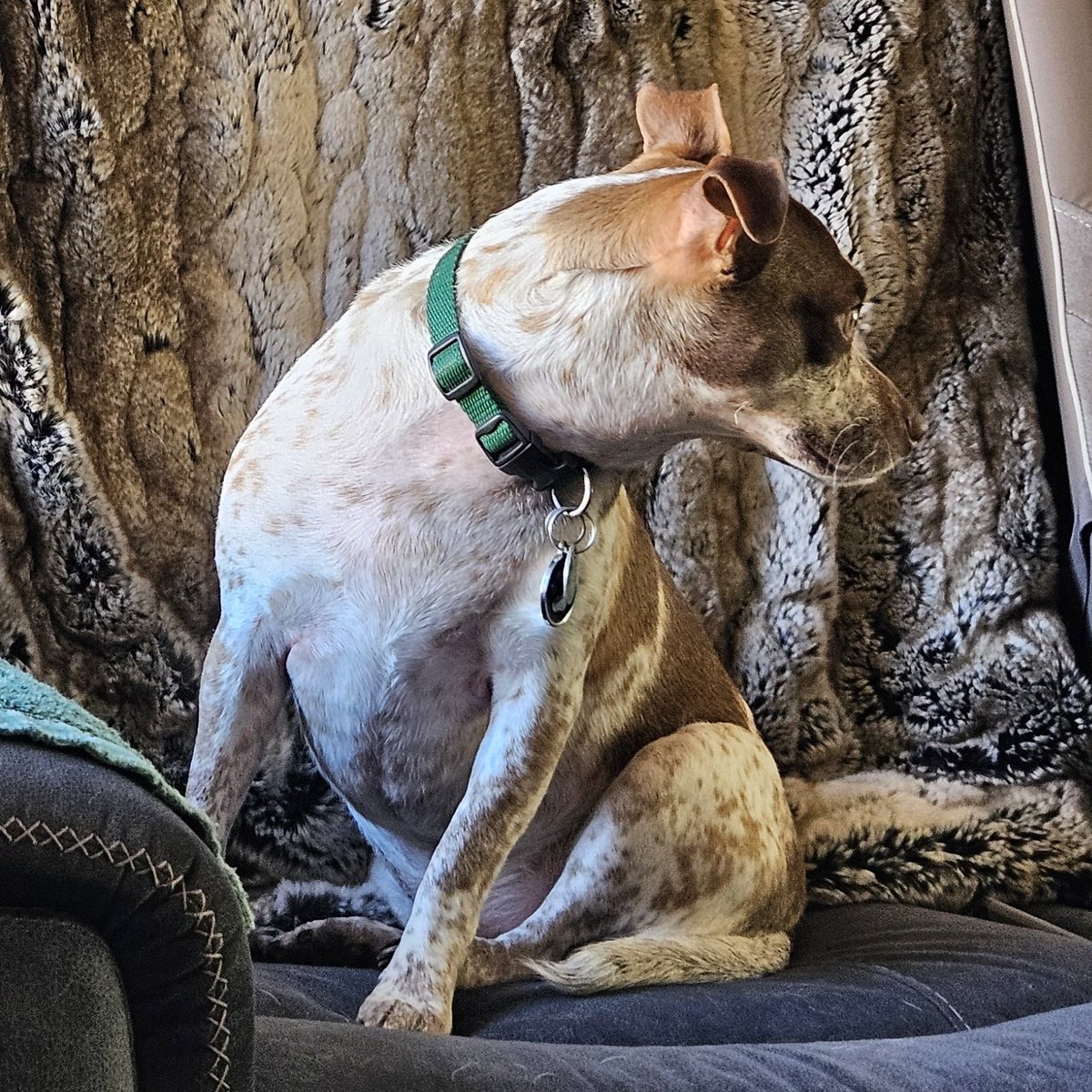 PJ Waldeck tweet media