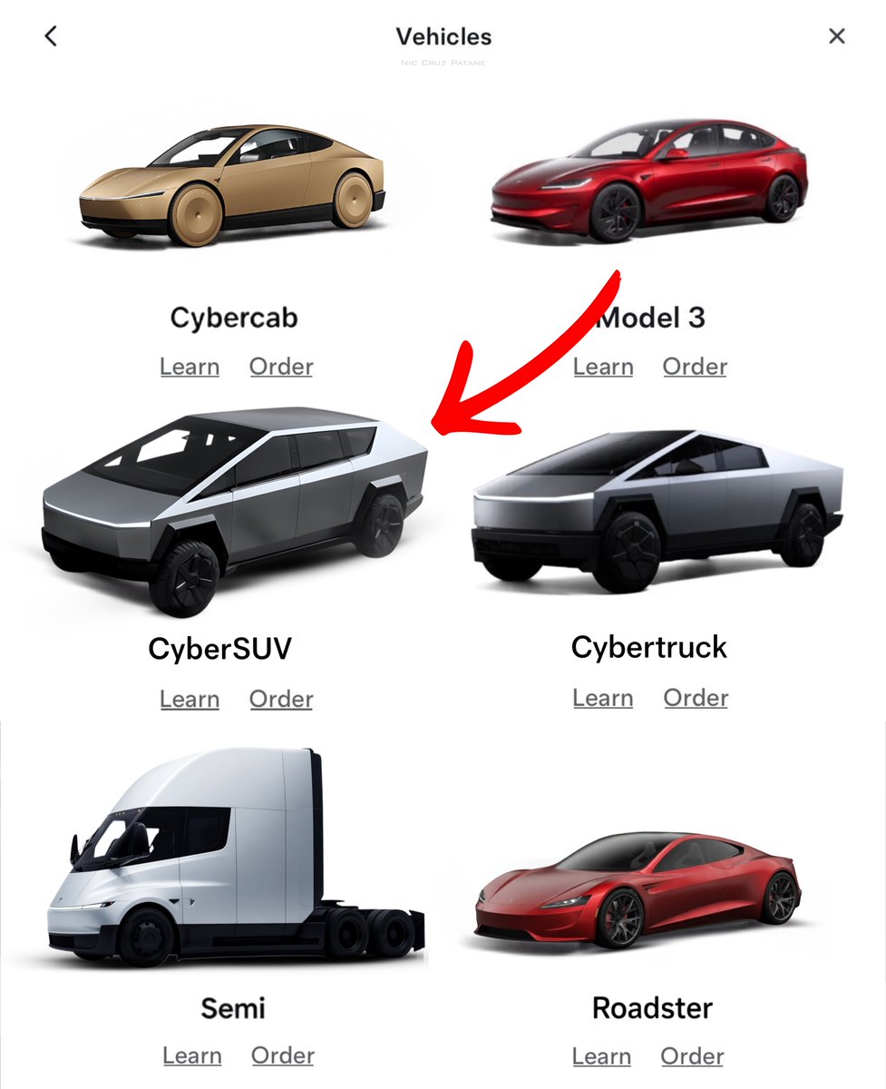 Nic Cruz Patane tweet media