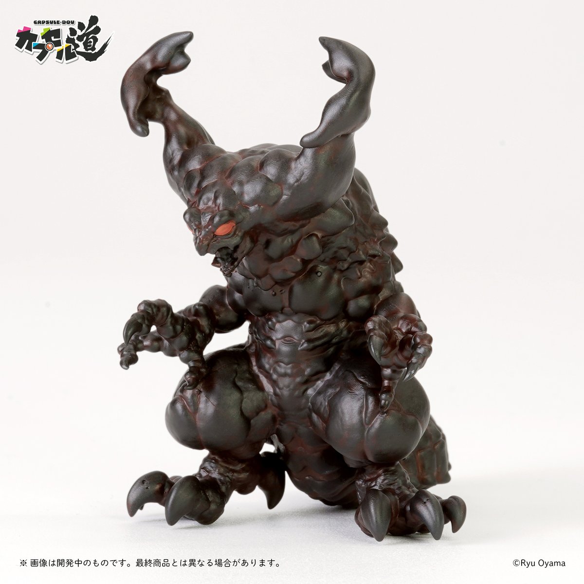 カプセル道【公式】 tweet media