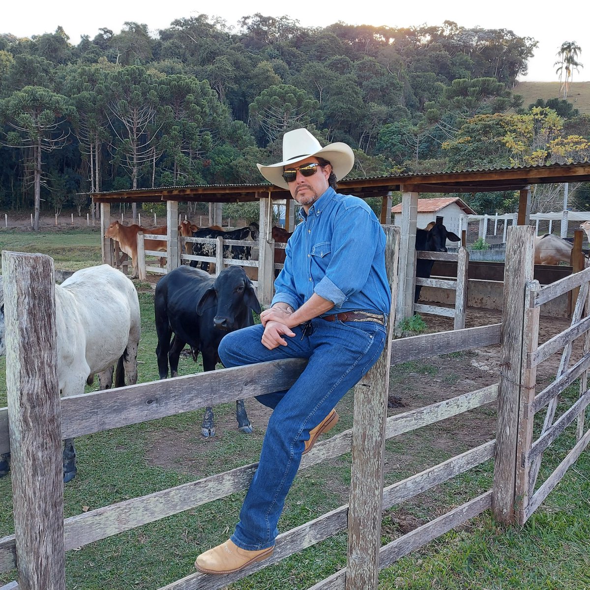 A hora da verdade! <a href="/bbb/">Big Brother Brasil</a> #bbb26 #RedeBBB @sentinela_bbb