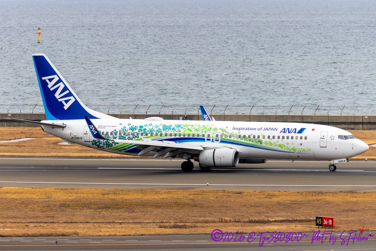 Airline:ANA Aircraft:B737-800(WL) Locations:NGO Date:07/02/2026