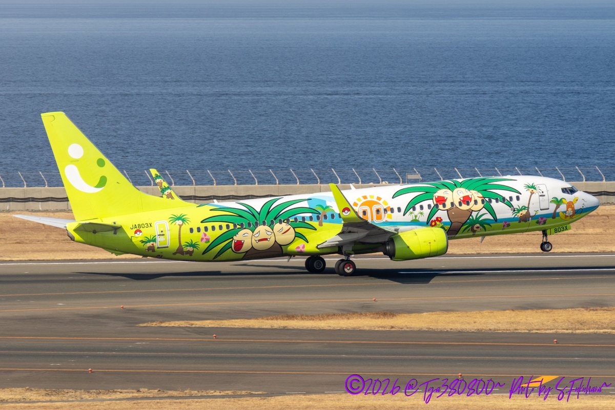 Airline:Solaseed Air Aircraft:B737-800(WL) Locations:NGO Date:22