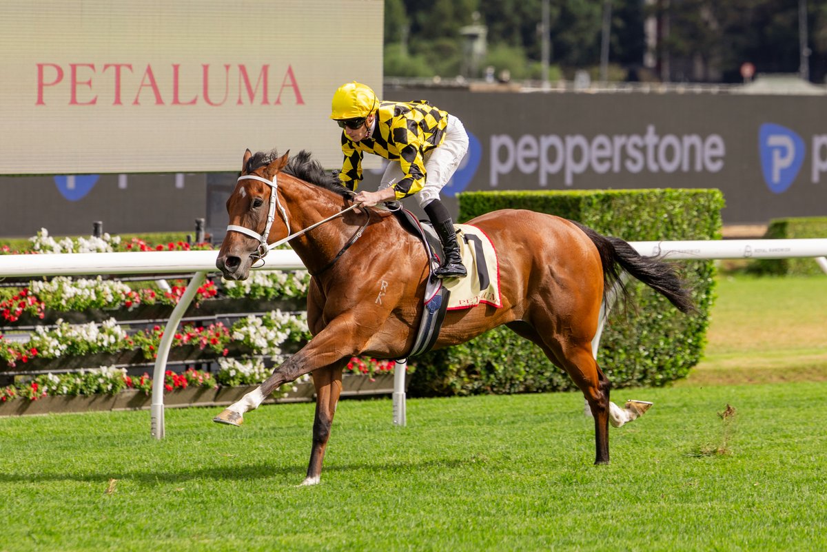 Daniel O'Sullivan tweet media