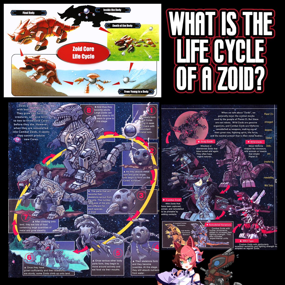 Wild Zoids begin life as a core in the metal-rich waters of Zi.
They grew their own bodies and move onto land.
Upon reaching the end of their life, smaller cores are released from the adult core, repeating the cycle!
Conversion into Combat Zoid seems to sterilize the Zoid Core.