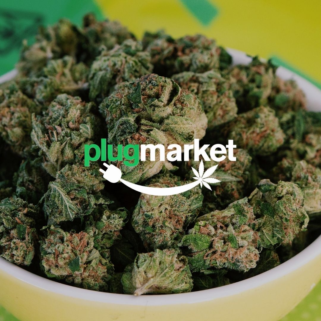 ShopPlugMarket's tweet photo. Quality you can trust and products you'll recognize. Your new plug is here #plugmarket #cannabiscommunity #weedporn #nugporn https://t.co/NDP4WzIAR0