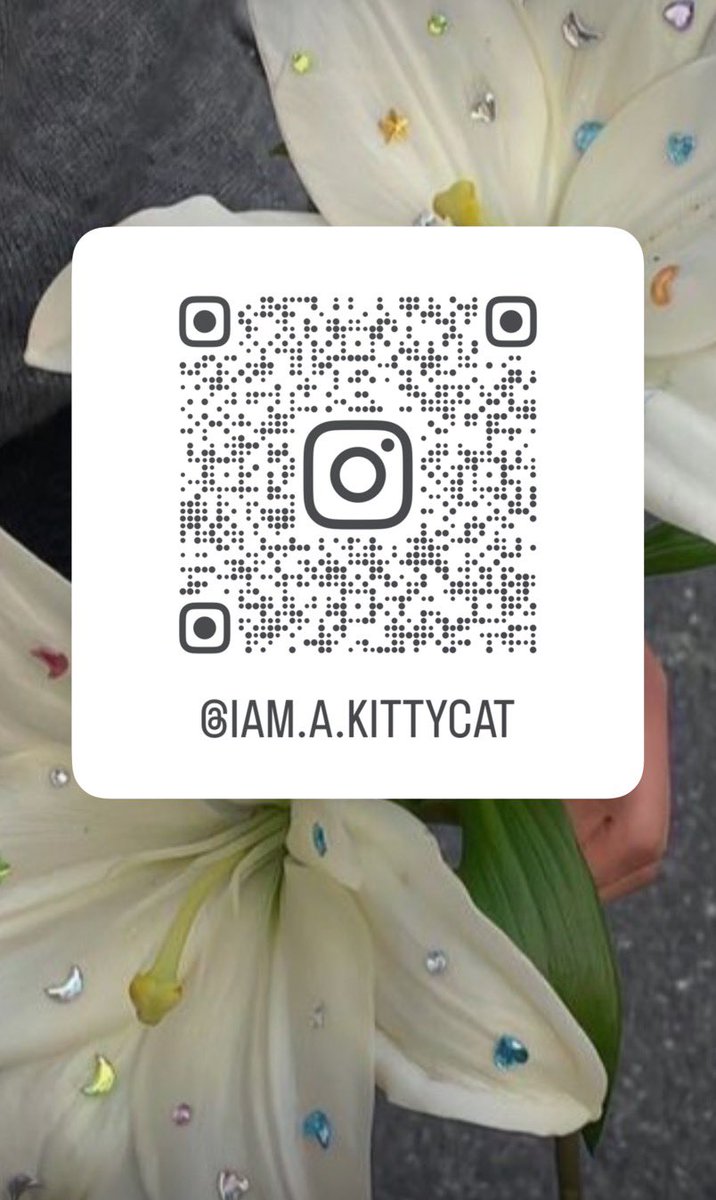 iamakitttty's tweet photo. Instagram🔁
https://t.co/cZkkW0k3GU https://t.co/BGHva9ImLa