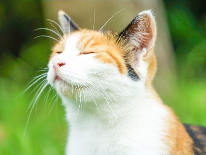 Sae 🌌 tweet media