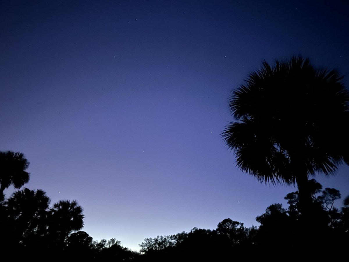 Reverie in Ruins (@sighandsubmit) on Twitter photo 