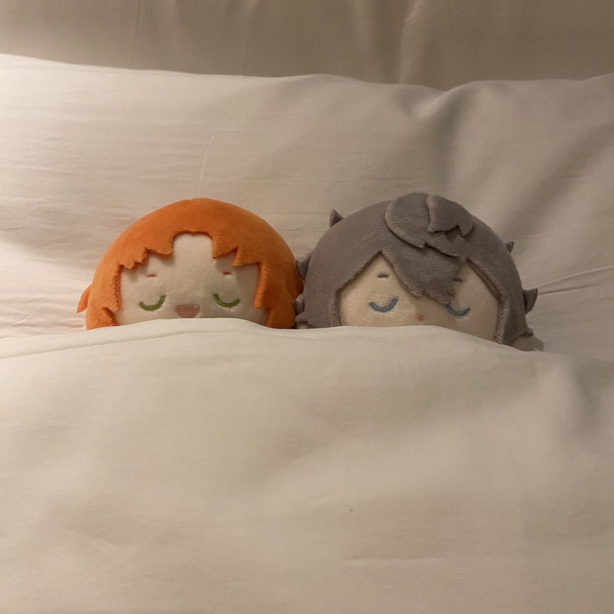 망또🐻❄️ tweet media