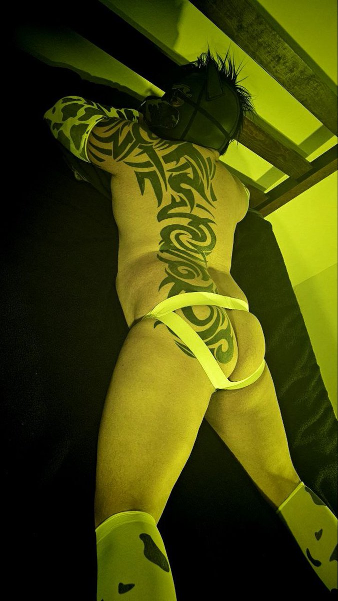 Hyena Jack tweet media