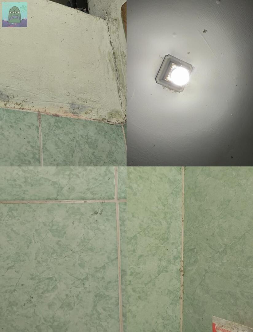 Tanyarl 💚 tweet media