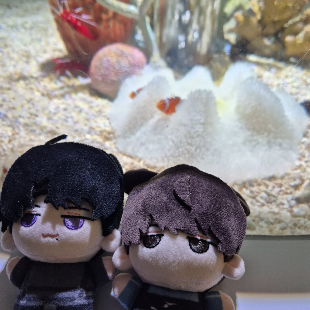 B111658's tweet photo. 근황
일본에 다녀왔습니다😎 https://t.co/qk5IZ3H0WO