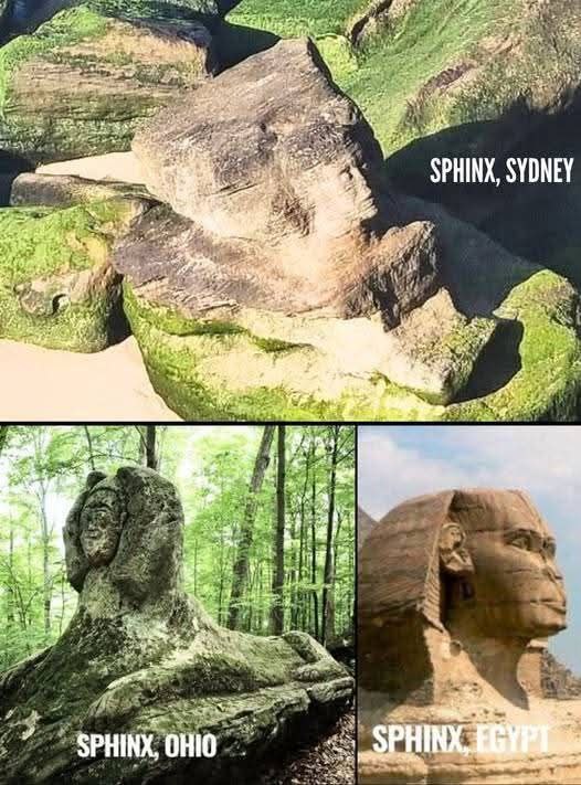 Bronze Giant tweet media