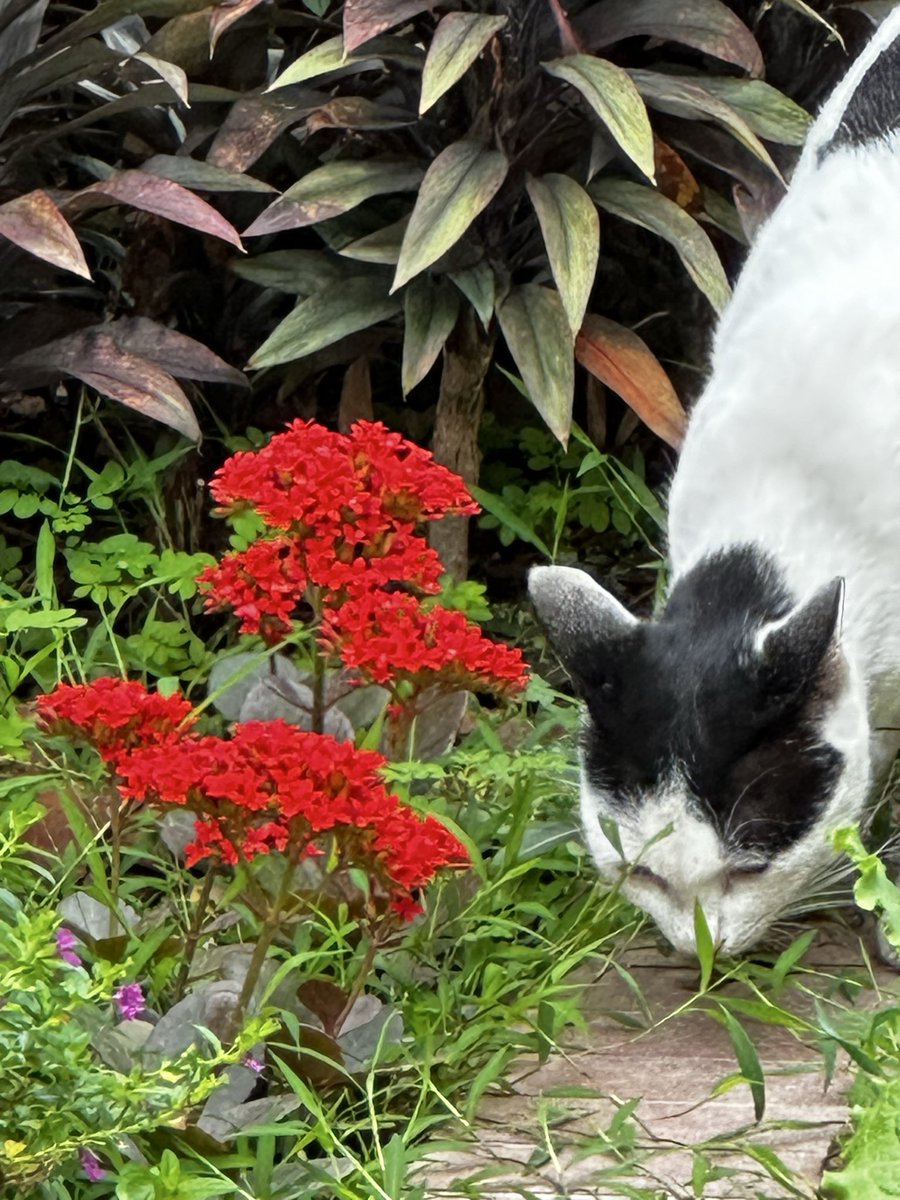 Fw (@t7yqefc4z344r7t) on Twitter photo 