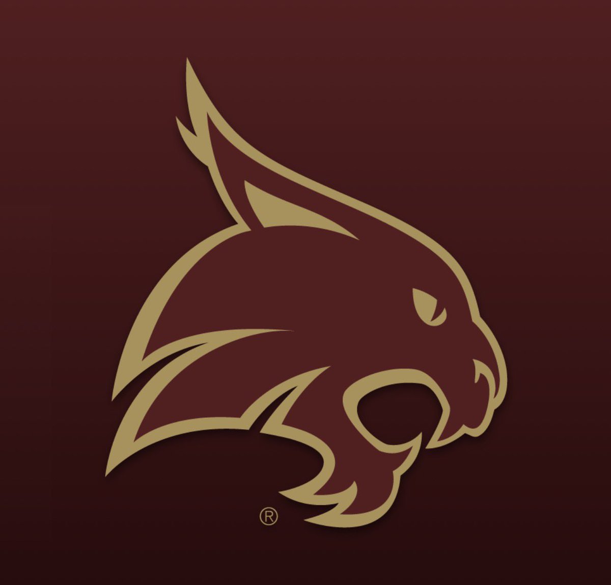 Texas Football Life tweet media