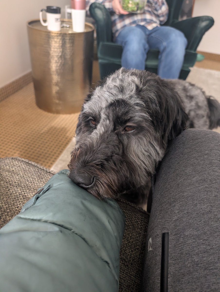 My therapist started bringing his dog to sessions
