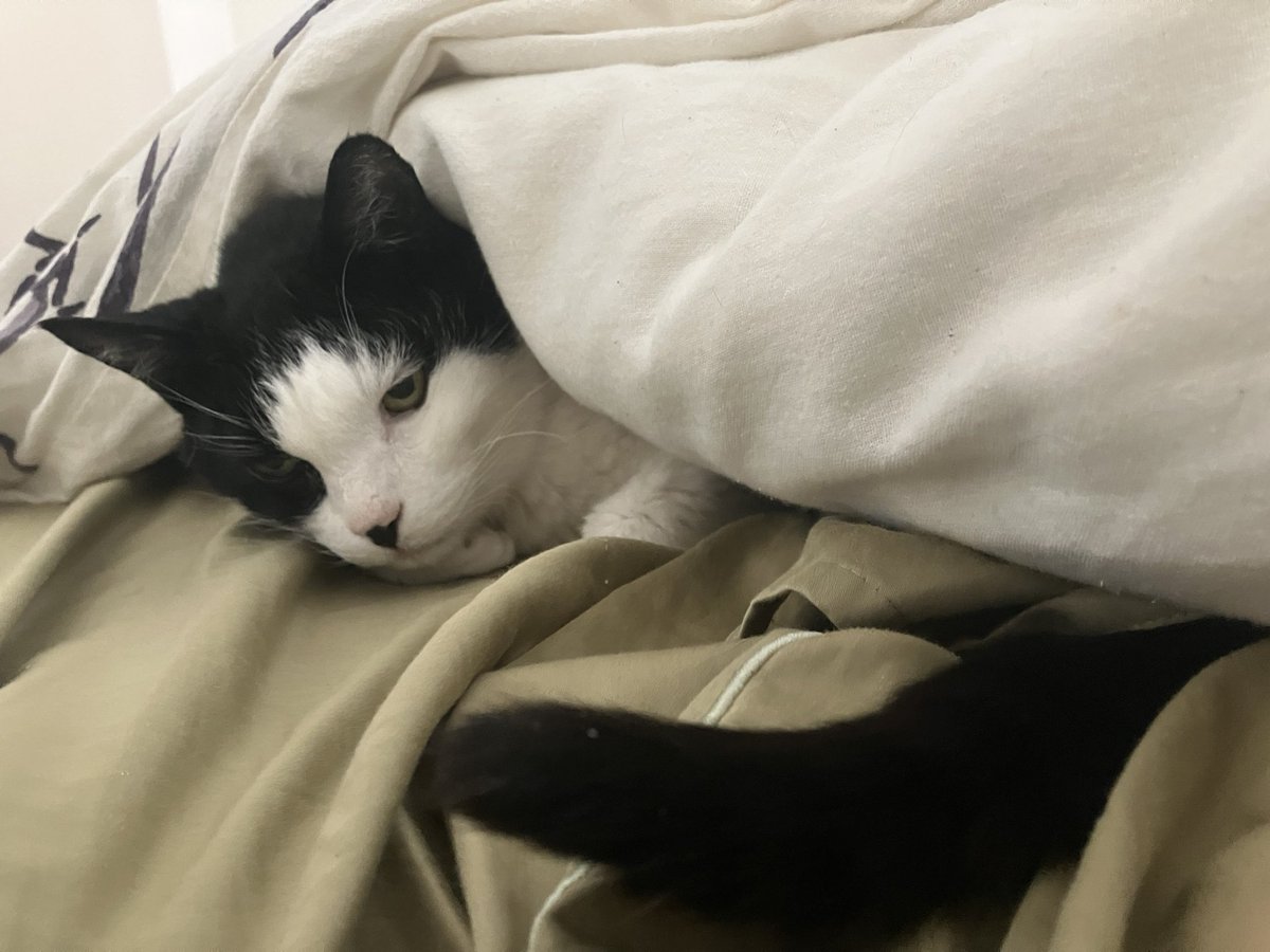 blair (abolishun type) tweet media