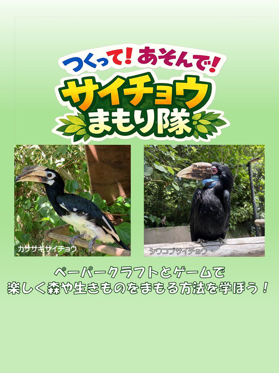 3/1（日）開催✨ 「つくって！あそんで！サイチョウまもり隊