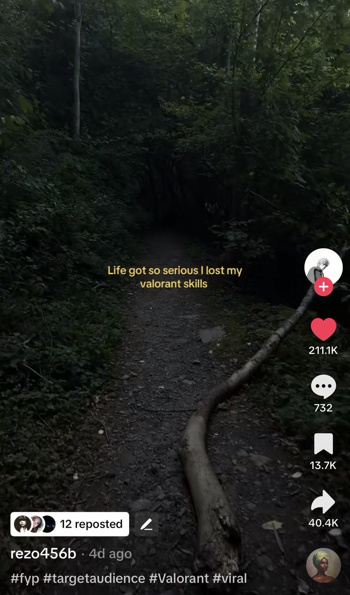 100T Anita tweet media