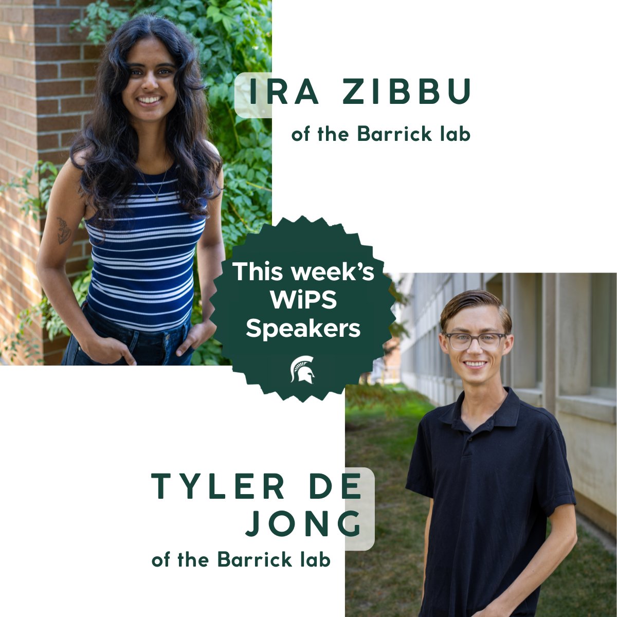 MSU Microbiology, Genetics, & Immunology tweet media