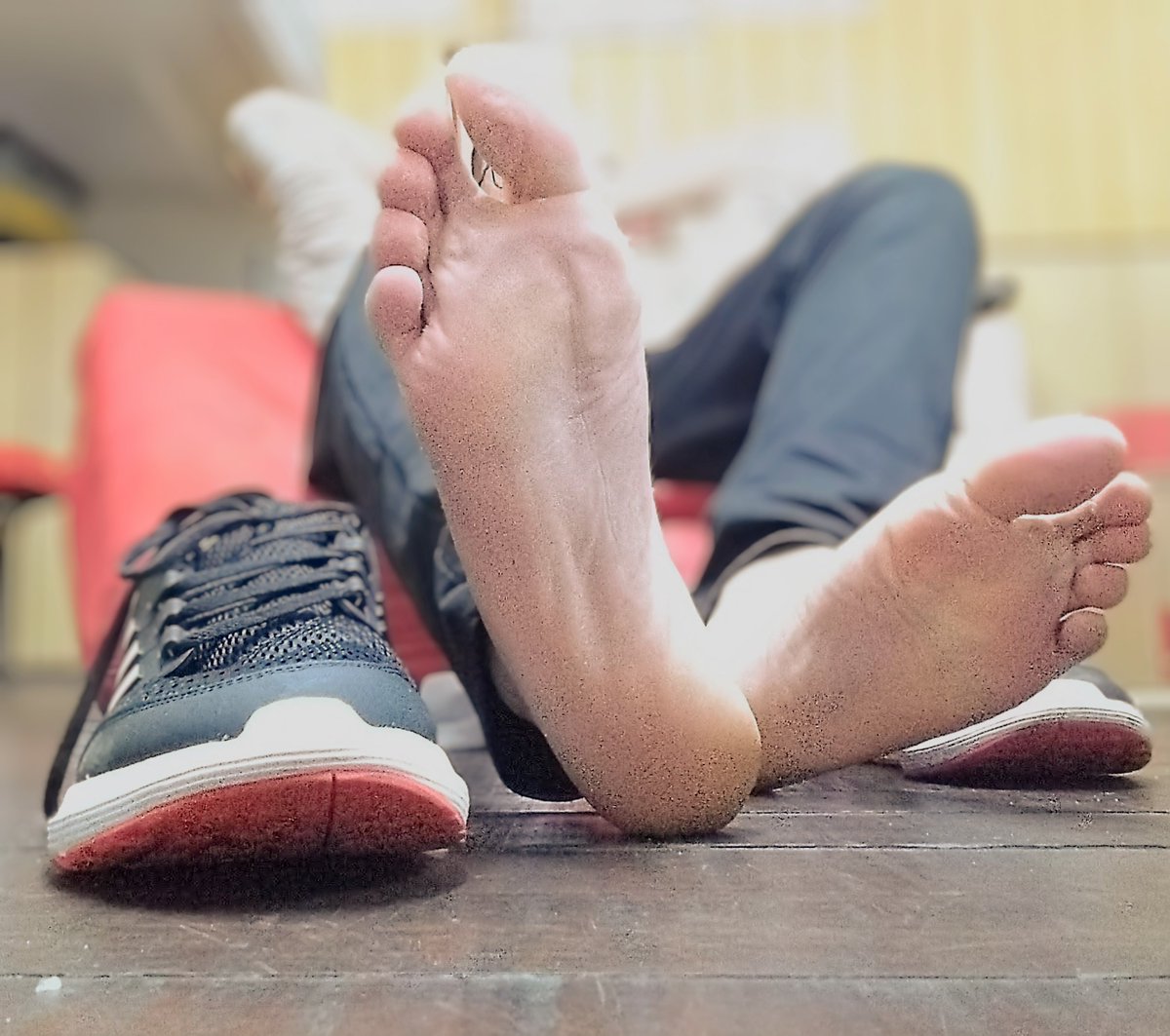 Master Ed tweet media