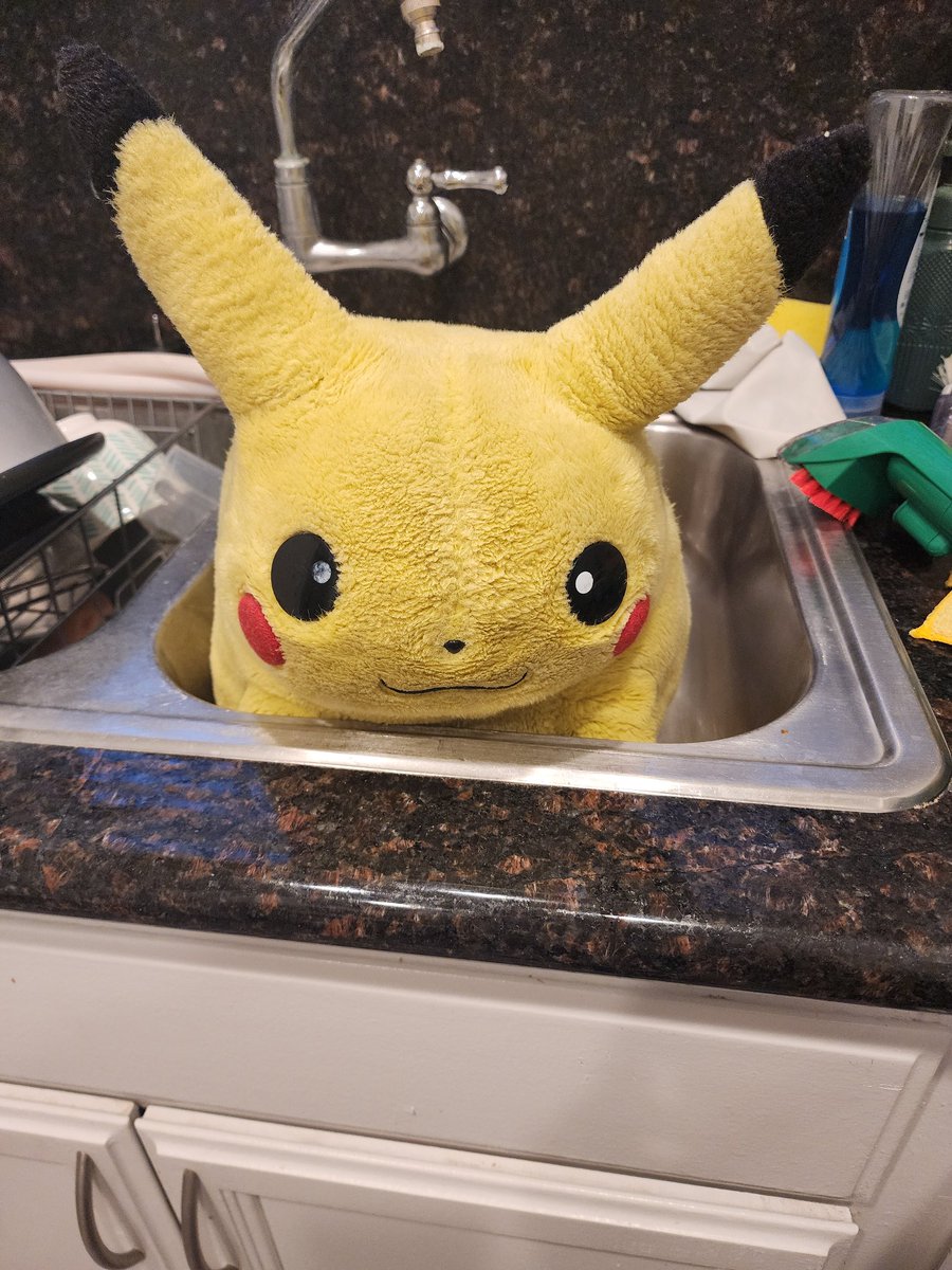 Emotional Support Pikachu tweet media