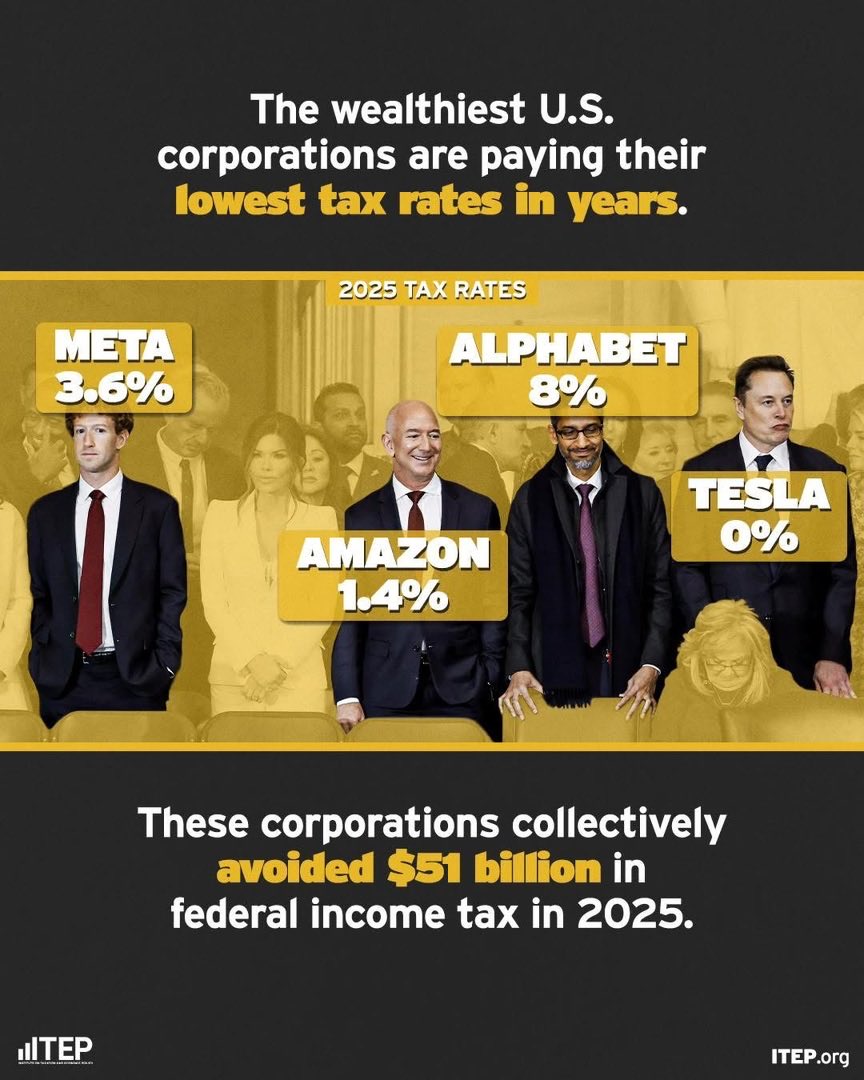 Amy Hanauer tweet media