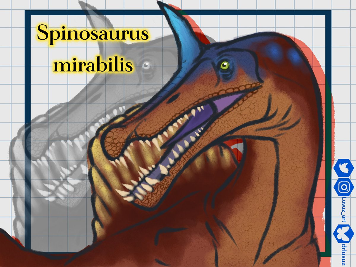 LusuzDV's tweet photo. El nuevo faraón del África cretácica: 
“Spinosaurus mirabilis“

Llevamos dos meses del año y ahora tenemos otra especie de Spinosaurus. Como fan de los spinosauridos no podría estar mas feliz.

#paleoart #spinosaurusMirabilis #spinosaurus #art https://t.co/fgXWPp9jJ6