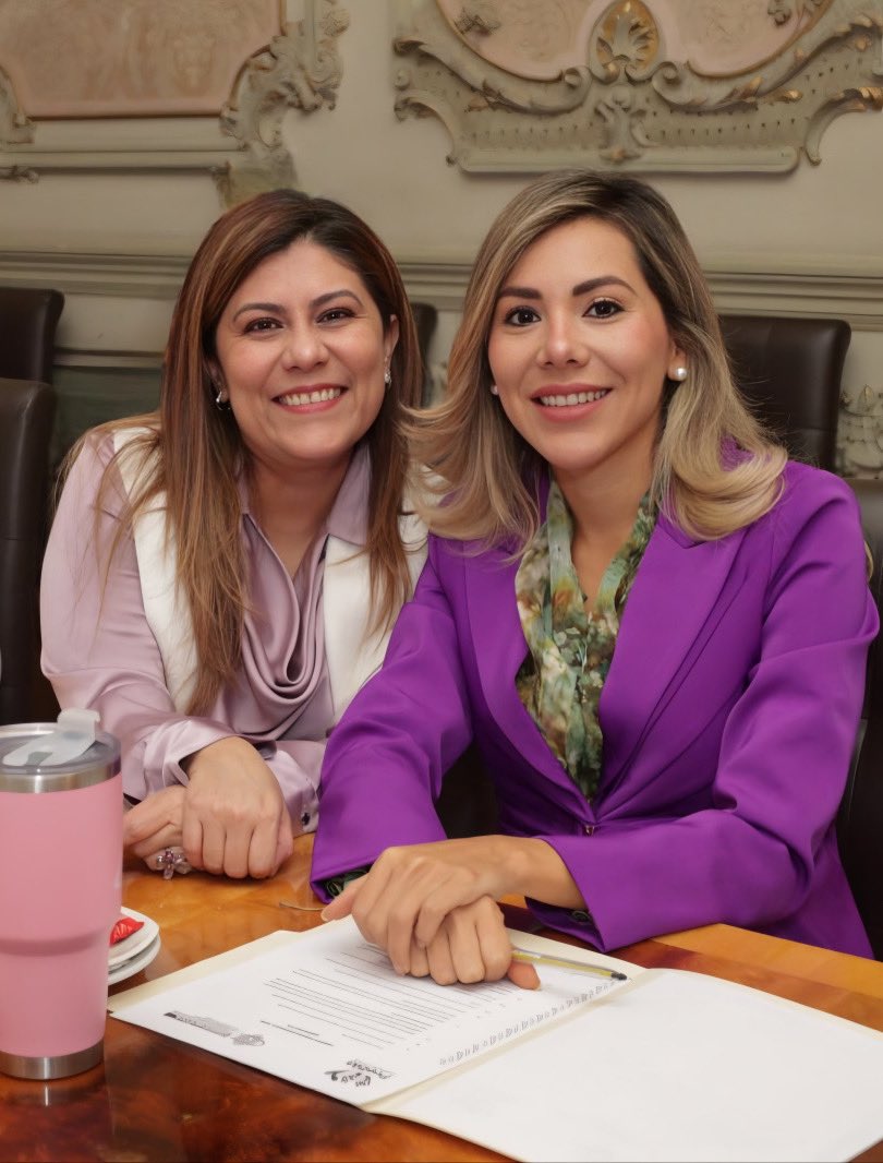 Transparencia y Municipio Abierto tweet media