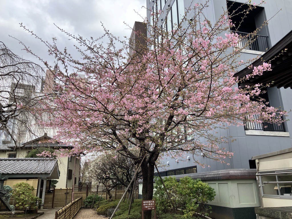 町田市観光コンベンション協会 tweet media