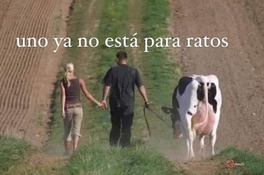 triste y con ganas de morirme ☹︎ tweet media