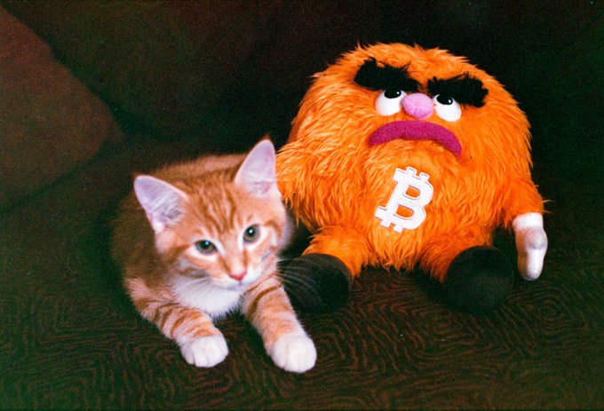 my cat said he wants $BITTY to run so that he can get his dream car