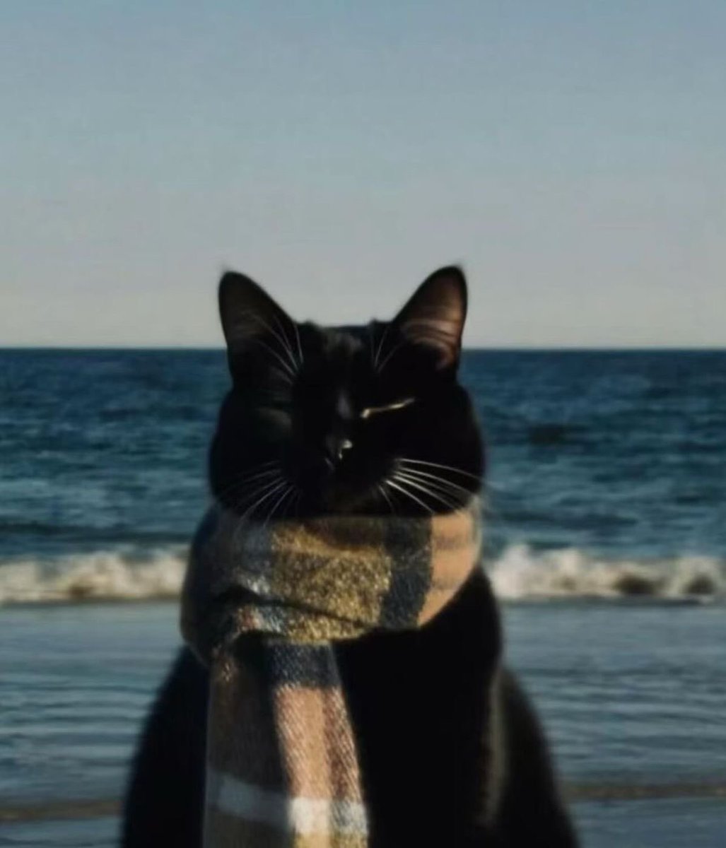 merit⨀ri⨀us tweet media