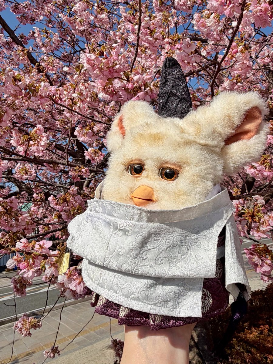 春よ来い♪早く来い♪🌸 #全ファ連 #ファービー #furby