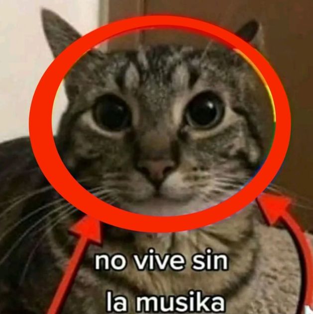 𓂃˖˳·˖ ִֶָ ⋆𝓫𝓮𝓴𝓪𝓪⋆ ִֶָ˖·˳˖𓂃 ִֶָ (@b3k4thh) on Twitter photo 