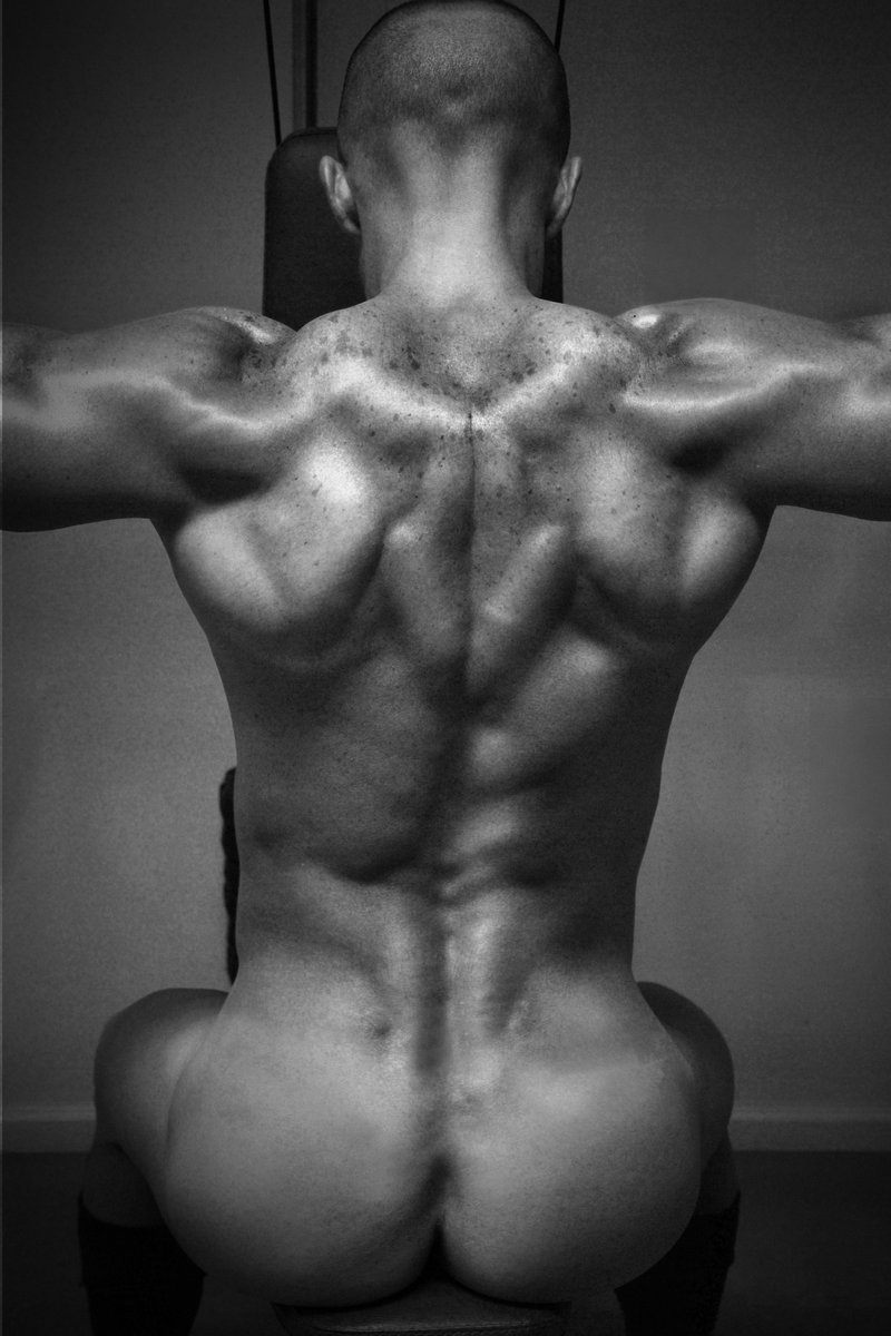 Gastohn Barrios tweet media