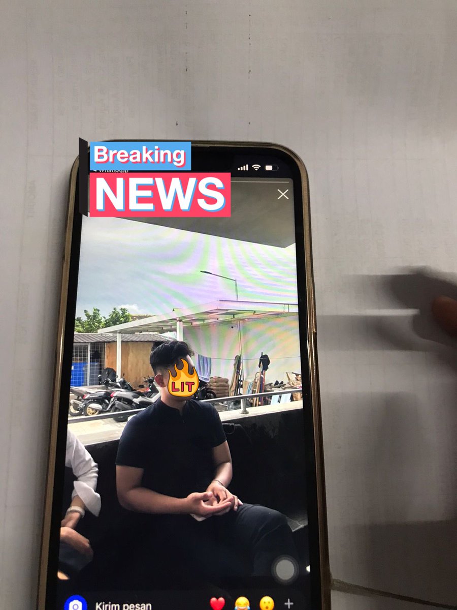 Natade Coco 🦖 tweet media