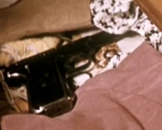 tucker 🪱 tweet media