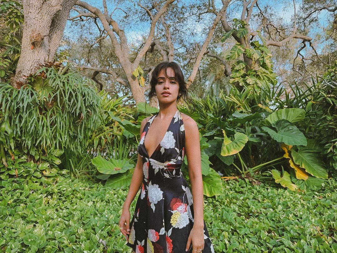 CabellopicsBR's tweet photo. 🍃 https://t.co/qOym4Y9uMG
