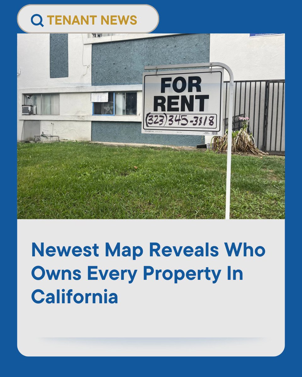 Tenants Together tweet media